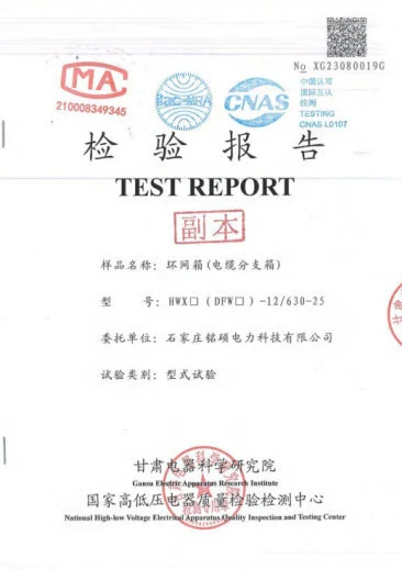 Type Test Report for Ring Main Unit (CableDistribution Box)